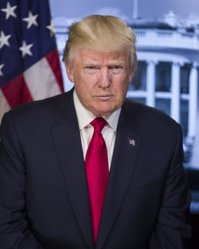 Donald J Trump portrait 