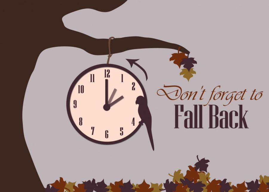 Fall back to daylight saving time